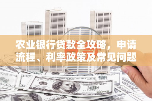 五指山农业银行贷款全攻略，申请流程、利率政策及常见问题解析