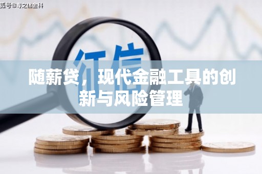 五指山随薪贷，现代金融工具的创新与风险管理