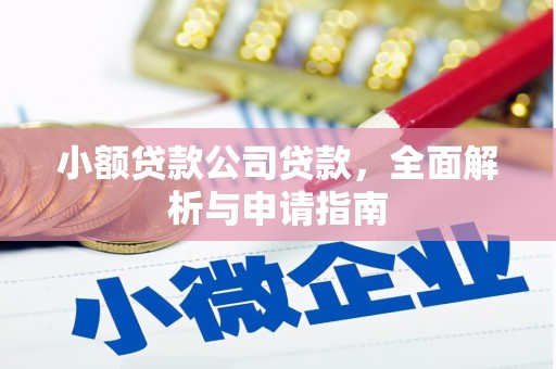 五指山小额贷款公司贷款，全面解析与申请指南