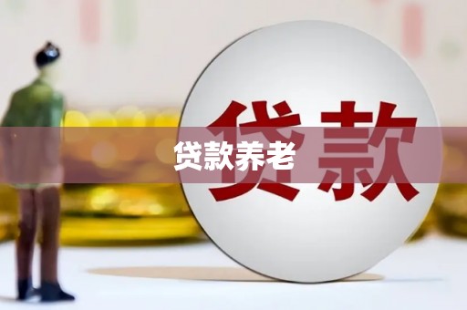 五指山贷款养老