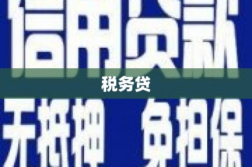 五指山税务贷
