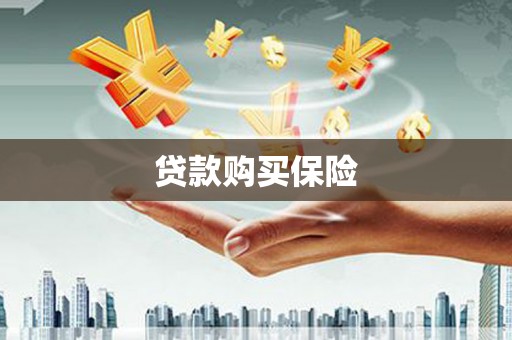 五指山贷款购买保险