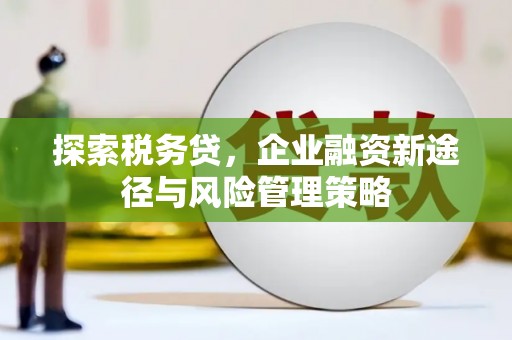 五指山探索税务贷，企业融资新途径与风险管理策略