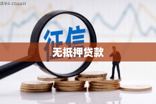 五指山无抵押贷款