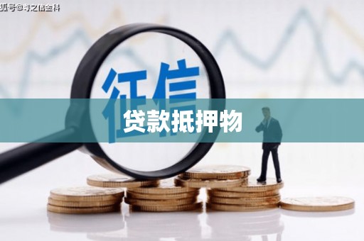 五指山贷款抵押物
