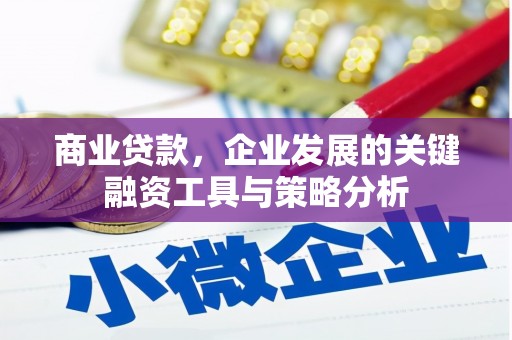 五指山商业贷款，企业发展的关键融资工具与策略分析