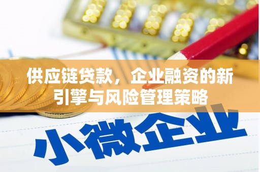五指山供应链贷款，企业融资的新引擎与风险管理策略