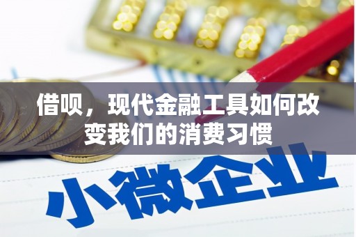 五指山借呗，现代金融工具如何改变我们的消费习惯