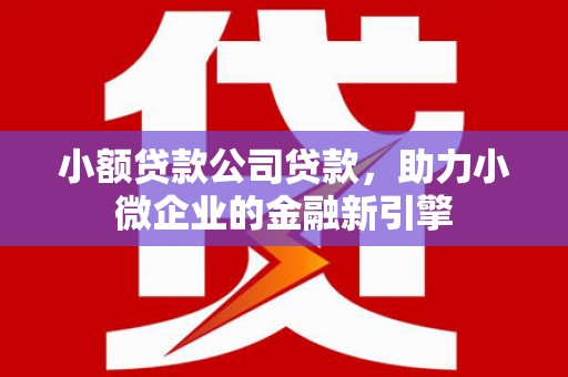 五指山小额贷款公司贷款，助力小微企业的金融新引擎
