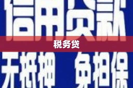 五指山税务贷