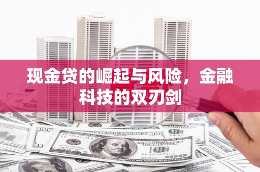 五指山现金贷的崛起与风险，金融科技的双刃剑