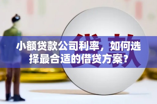 五指山小额贷款公司利率，如何选择最合适的借贷方案？