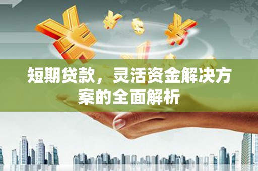 五指山短期贷款，灵活资金解决方案的全面解析