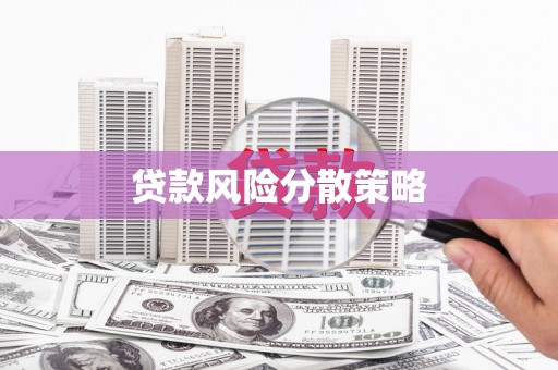 五指山贷款风险分散策略