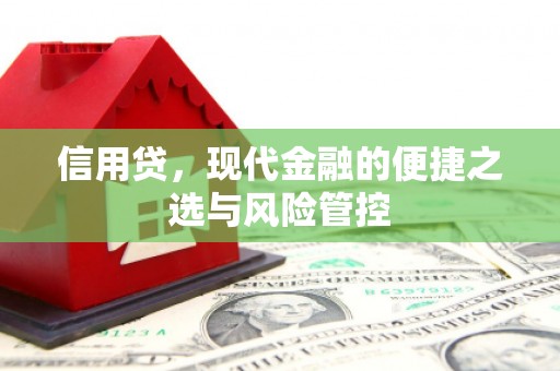五指山信用贷，现代金融的便捷之选与风险管控