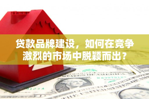 五指山贷款品牌建设，如何在竞争激烈的市场中脱颖而出？