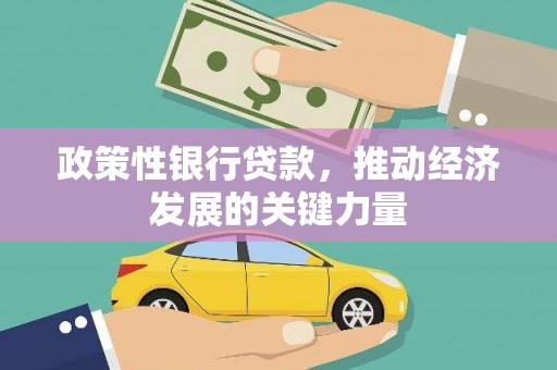 五指山政策性银行贷款，推动经济发展的关键力量