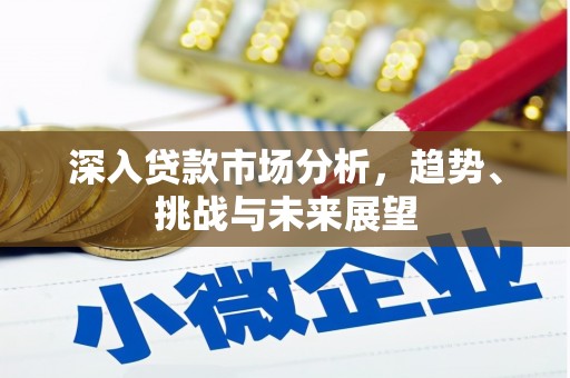 五指山深入贷款市场分析，趋势、挑战与未来展望