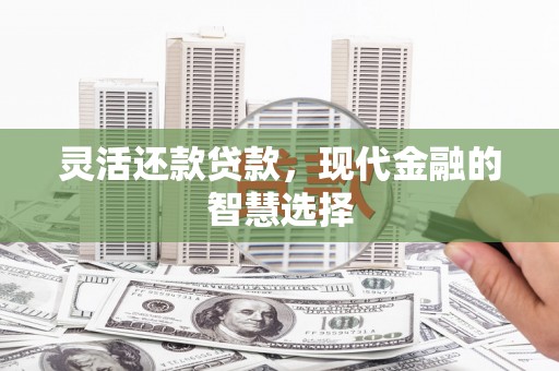 五指山灵活还款贷款，现代金融的智慧选择