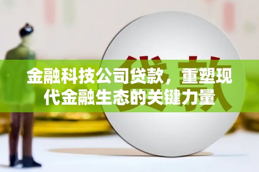 五指山金融科技公司贷款，重塑现代金融生态的关键力量