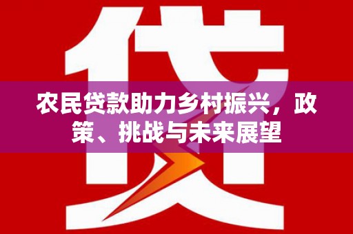 五指山农民贷款助力乡村振兴，政策、挑战与未来展望