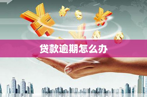 五指山贷款逾期怎么办