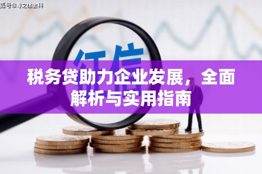 五指山税务贷助力企业发展，全面解析与实用指南