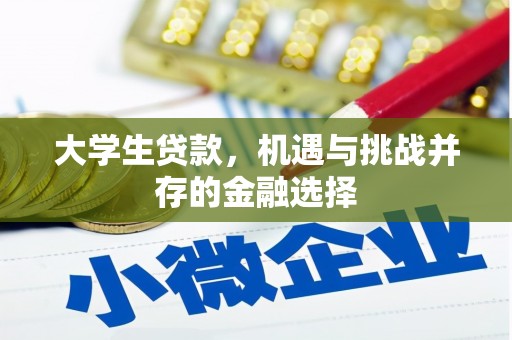 五指山大学生贷款，机遇与挑战并存的金融选择