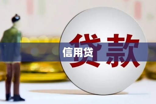 五指山信用贷