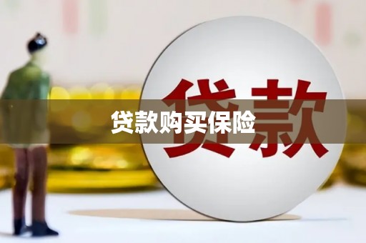 五指山贷款购买保险