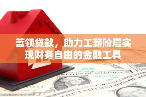 五指山蓝领贷款，助力工薪阶层实现财务自由的金融工具