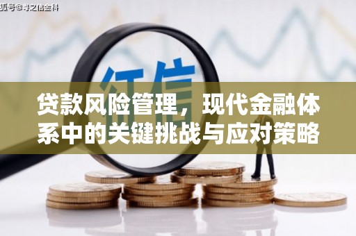 五指山贷款风险管理，现代金融体系中的关键挑战与应对策略