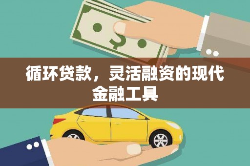 五指山循环贷款，灵活融资的现代金融工具