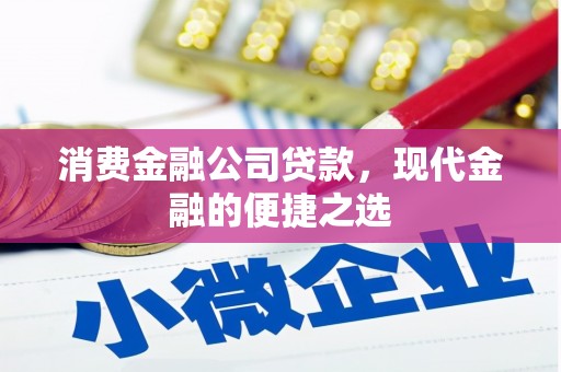 五指山消费金融公司贷款，现代金融的便捷之选